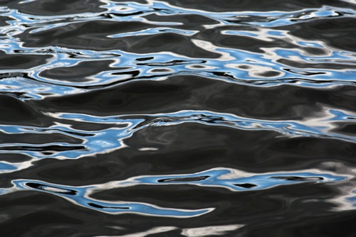Water Detail, Upland Pond, Sussex County, NJ 09 07 (6920SA) copy.jpg Water Detail, Upland Pond, Sussex County, NJ 09 07 (6920SA) copy.jpg